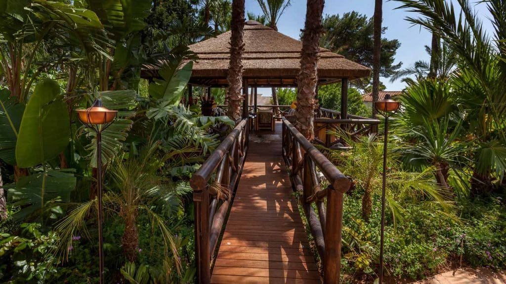 Beautiful Wooden Decking with a View of Nature