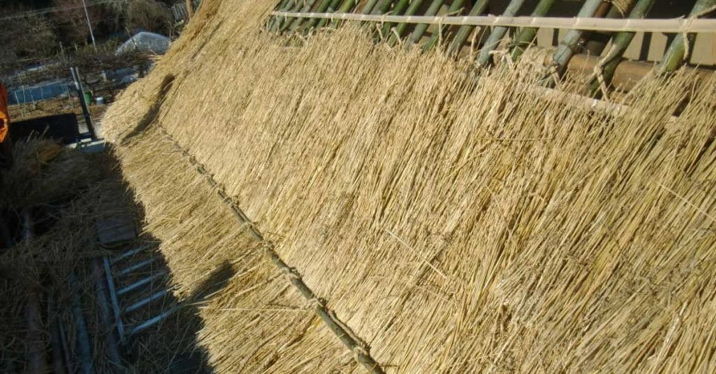 The intricate process of thatching a roof.