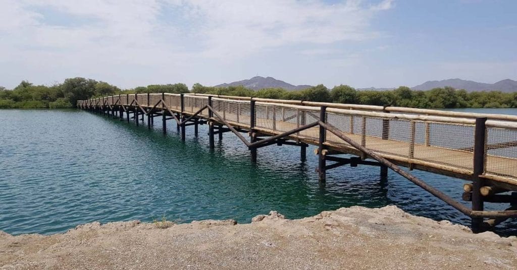 The timber bridge of 141m stretching across the lagoon we constructed.