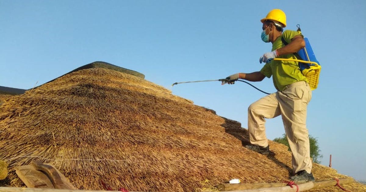 Cape Reed Fireshield application on a thatched roof
