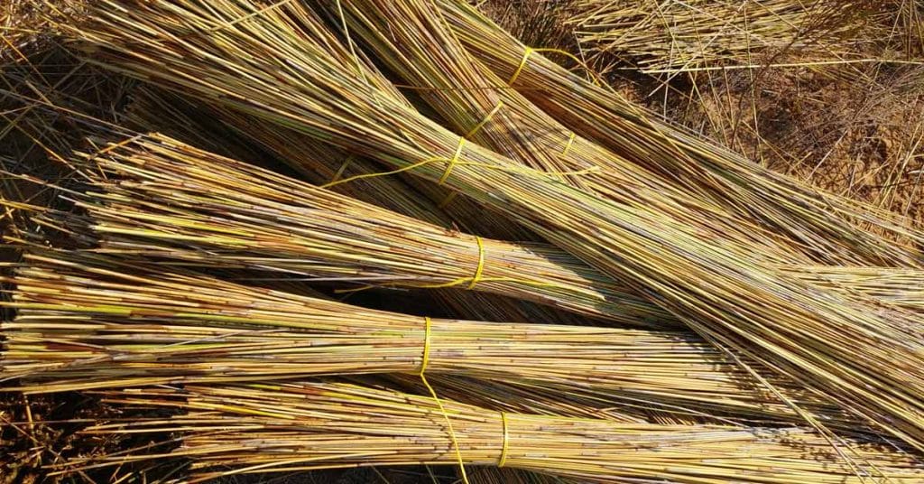 Complete Guide to Understanding Thatched Roofs