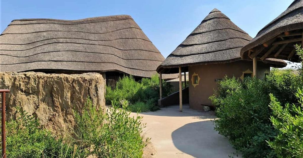 Cape Reed Thatched Roofs at Sharjah Safari
