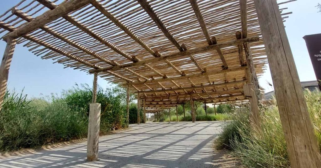 Cape Reed Thatched Roofs at Sharjah Safari