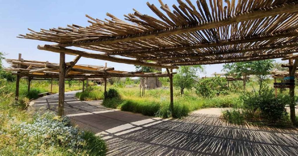 Exquisite Cape Reed Wooden Pergola at Sharjah Safari