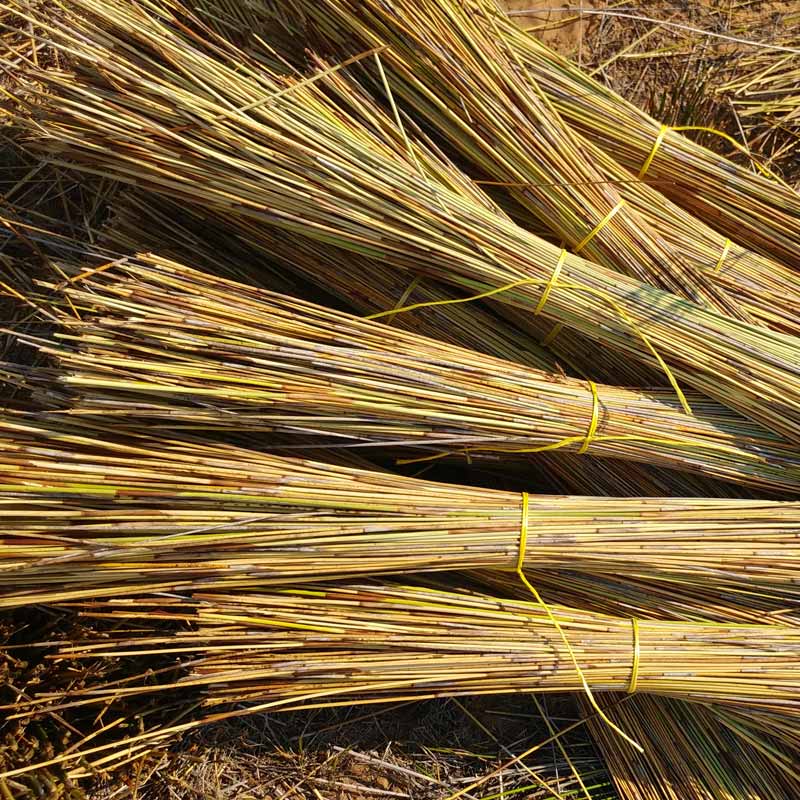 Bundles of natural Cape Reed thatch ready for installation
