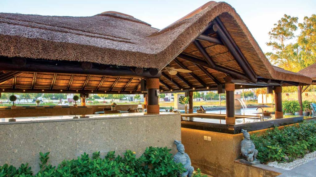 Cape Reed techo junco africano piscina cocina barbacoa bar