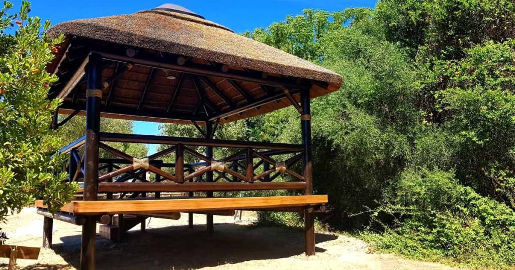 forest-scool-elevated-outdoor-classroom-with-thatched-roof