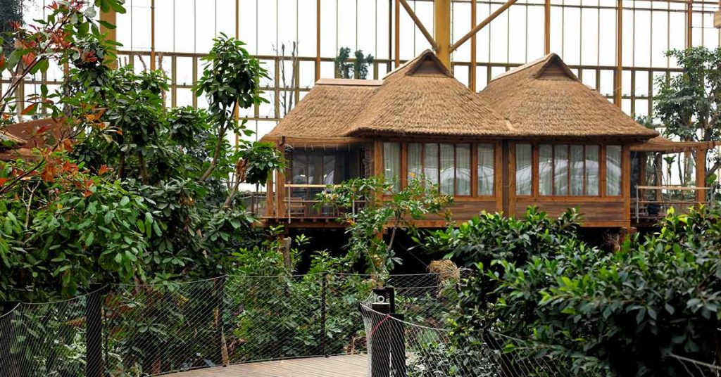 Cape Reed Thatched Roofs at Pairi Daiza